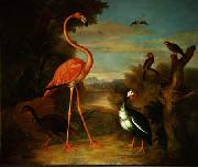 Jakob Bogdani Flamingo and Other Birds in a Landscape oil on canvas